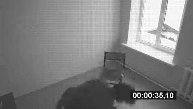 Камера видеонаблюдения КРЫЛЬЯ смотреть онлайн