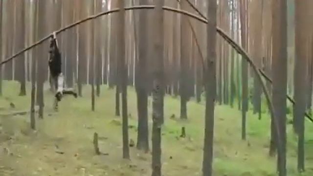 Докачался на дереве парень смотреть онлайн