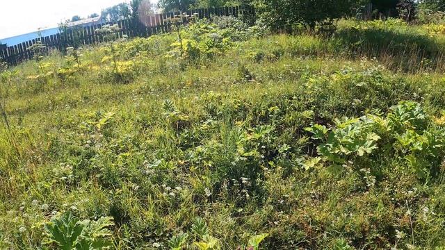 Металлоискатель МД 5090. Добил поляну. 2 мешка хорошего железа смотреть онлайн