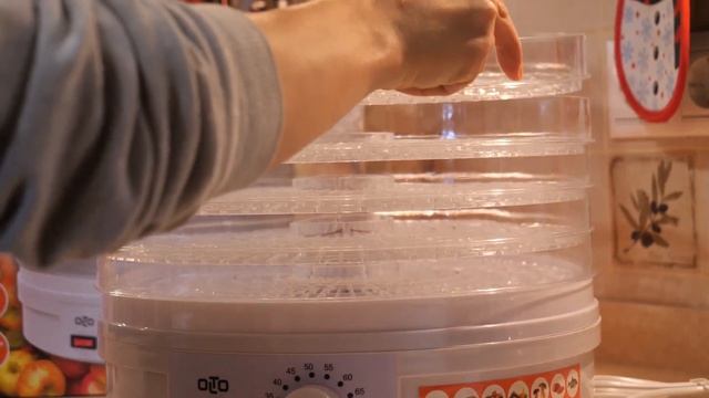 Сушилка для овощей и фруктов OLTO HD-30 (Распаковка) смотреть онлайн