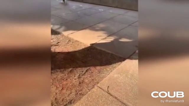 1611149342_looped_1611149341.mp4 смотреть онлайн