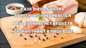 Сало Польза и Вред