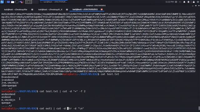 17 Scripting Exercise - OSCP | Offensive Security Certified Professional смотреть онлайн