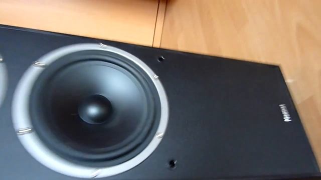 Magnat Monitor Supreme 1000/2