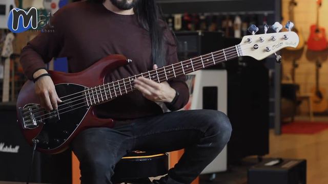 Sterling By Music Man Ray 5 MR Walnut Satin - Centuries Bass Cover - César Alvarado #sterling