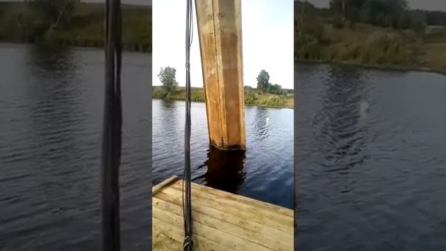 Погружение шпунта Ларсена в воду смотреть онлайн