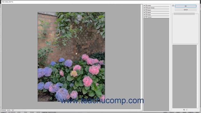 Photoshop Elements 2021 Tutorial Filters & the Filter Gallery Adobe Training смотреть онлайн