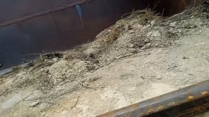 Ремонт бортов на прицепе