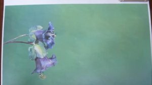 Генеративное  размножение растений.