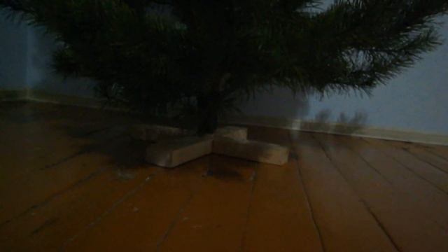 Ёлочка установлена, дети довольны смотреть онлайн