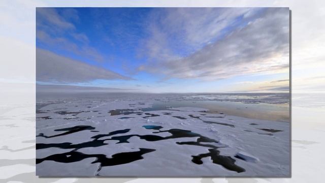 Сказка-медитация Лауры Росси "Дрейфующая льдина" смотреть онлайн