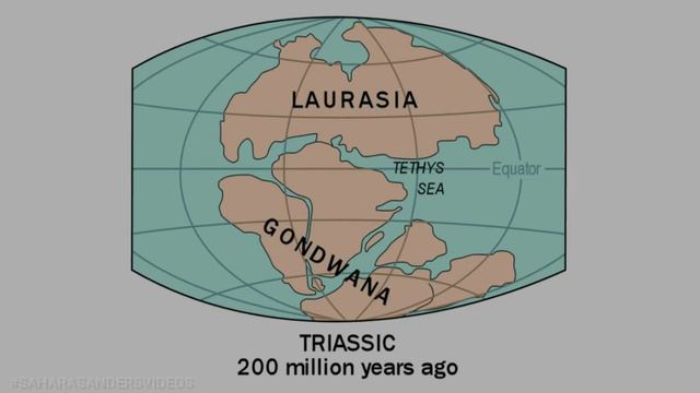 History of the World, Part 1 l Evolution of the Earth l History of Life Timeline смотреть онлайн