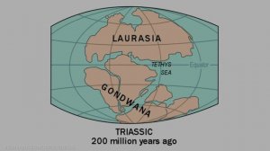 History of the World, Part 1 l Evolution of  the Earth l History of Life Timeline