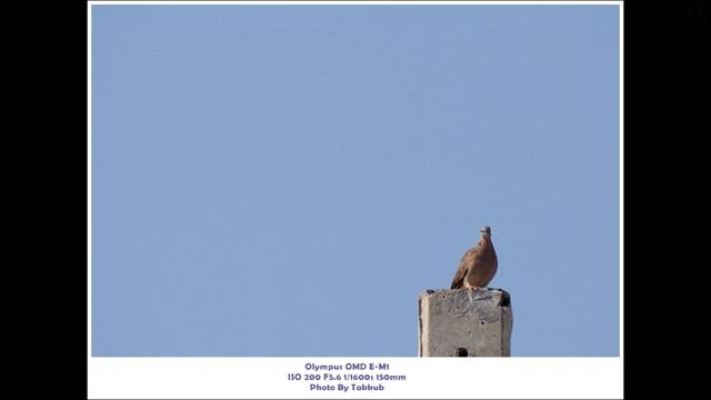 รีวิวเลนส์คิตซูม M.Zuiko Digital ED 40-150mm F4-5.6 R [EP46] смотреть онлайн