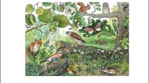 Экосистема и биоценоз