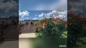 Необыкновенный парк роз в Германии, август 2021