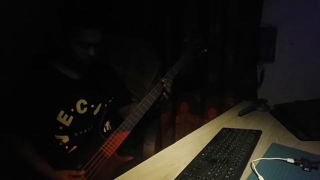 A Perfect Circle - 3 Libras Bass Cover смотреть онлайн