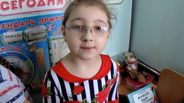 Репортаж с кормушки