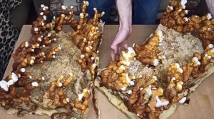 Выращивание Рейши на разных субстратах