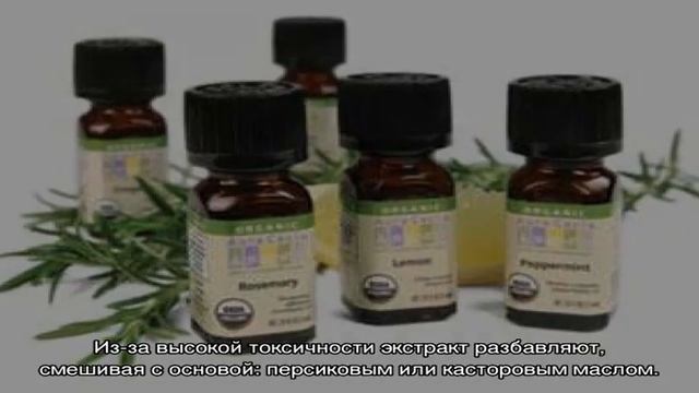 Как использовать эфирные масла для роста волос: все секреты смотреть онлайн