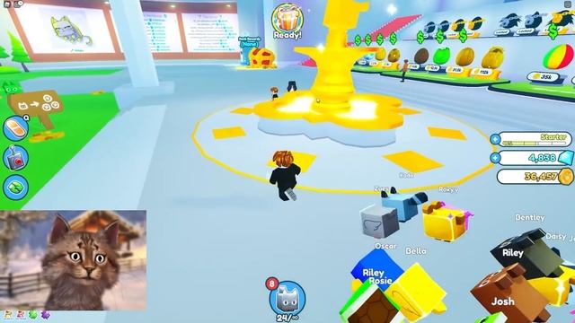Rich Noob With Infinite Pets Gamepass VS Roblox Pet Simulator X смотреть онлайн