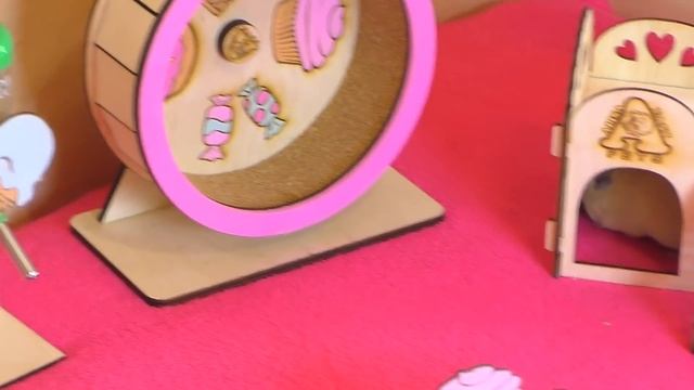ГОРОДОК лабиринт РАЗВЛЕЧЕНИЙ для ХОМЯЧАТ / ОГРАНИЧЕННАЯ СЕРИЯ МЕБЕЛИ для Хомки / Alisa Easy Pets смотреть онлайн
