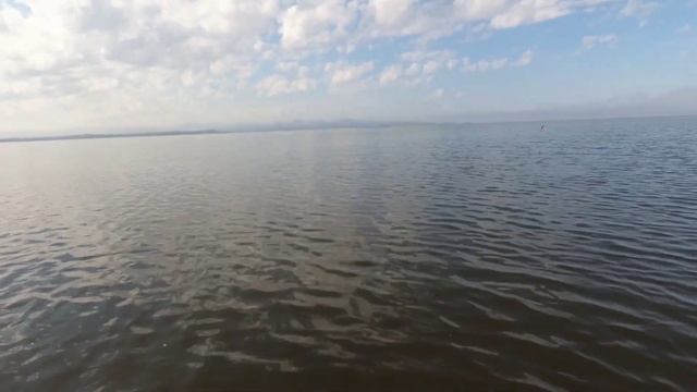 Пушистые Персонажи