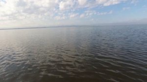 ЛОВЛЯ САРГАНА. БЮДЖЕТНАЯ СНАСТЬ НА САРГАНА. САРГАН ГОРЯЧЕГО КОПЧЕНИЯ.   #жекарыболов #ловлясаргана