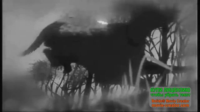 А месяц скользил тонкий