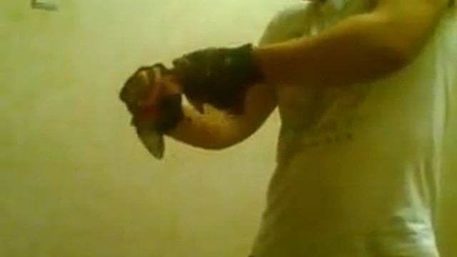 Сгибание реверсом. Пруток длина 17см толщина 8мм смотреть онлайн