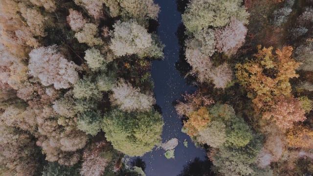 Autumn is the flowering of nature. Осень — расцвет природы. смотреть онлайн