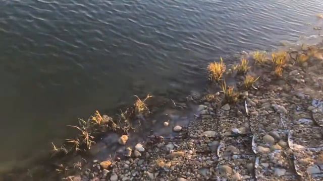 Состояние жидкой воды - онлайн смотреть онлайн