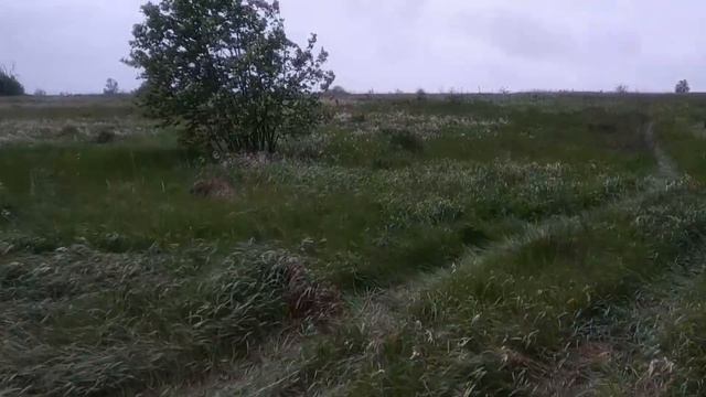 ЗАБРОШЕННАЯ СТОЯНКА СЕЛЬХОЗТЕХНИКИ У СТАРОЙ ДЕРЕВНИ! ЯМА С МЕТАЛЛОМ! Коп металлолома смотреть онлайн