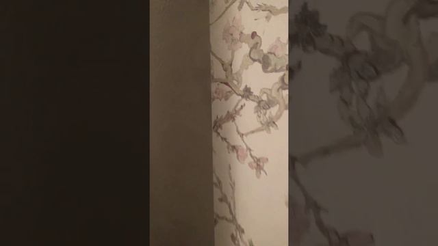 шум от холодильника LG GA-E429SMRZ