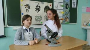 Правила работы со световым микроскопом.