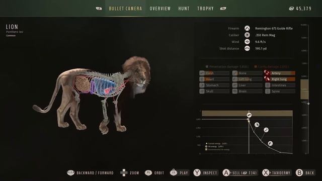 WILD Tikamoon Plains rare fur hunt! | Way of the Hunter смотреть онлайн