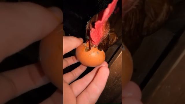 топ контент