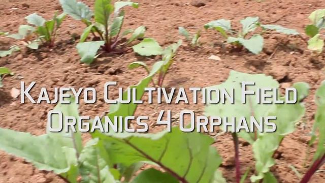 2 Live Beyond & André Davis (American Football Player) In Rwanda 2014