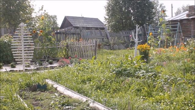 А у меня грибы растут/Урожай элитной картошки//Наталья Харитонова смотреть онлайн