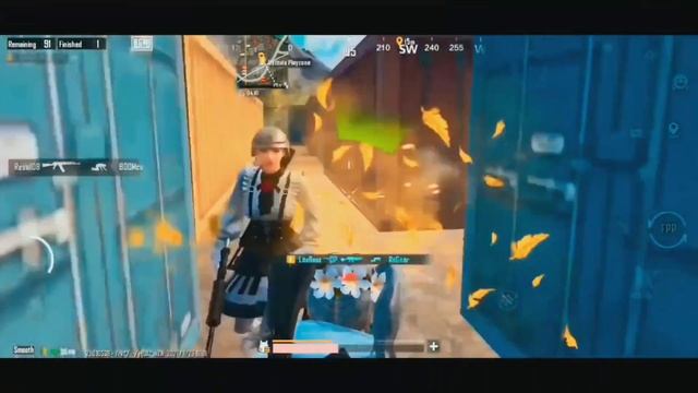 Maan Meri Jaan ?❤️ • IQOO Z6 PRO ? • BGMI MONTAGE/PUBG MONTAGE ? • KILLER OG GAMING ? смотреть онлайн