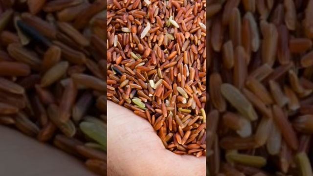 Рисование Карандашом