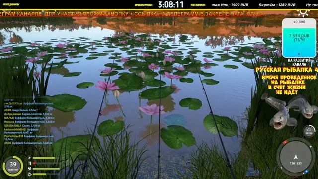 РУССКАЯ РЫБАЛКА 4 СТРИМ(РР4) (НОРВЕЖСКОЕ МОРЕ - СЧАСТЛИВЫЙ ЧАС) (РЕКА АХТУБА БУФФАЛО ,САЗАН ,УСАЧ) смотреть онлайн