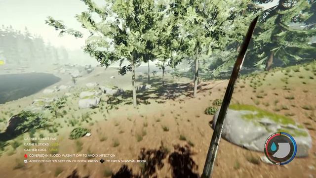 The Forest #1 Кооператив.. смотреть онлайн