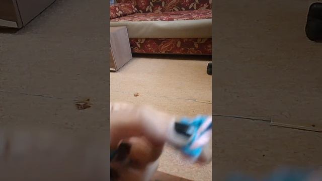 ну как то так, я сама ток учусь вязать ? смотреть онлайн