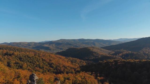 Música Relajante Naturaleza SPA - YOGA - MEDITACION - TERAPIA