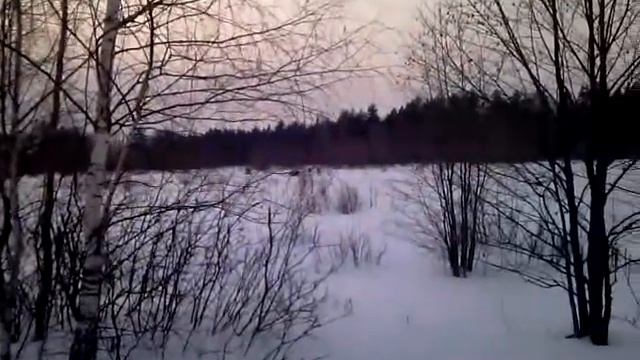 охота. смотреть онлайн