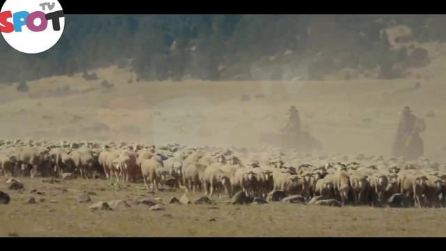 Yellowstone 1923 Episode 2 "Spencer Dutton Falls in Love" || Ending Explain || Tv Spoot смотреть онлайн