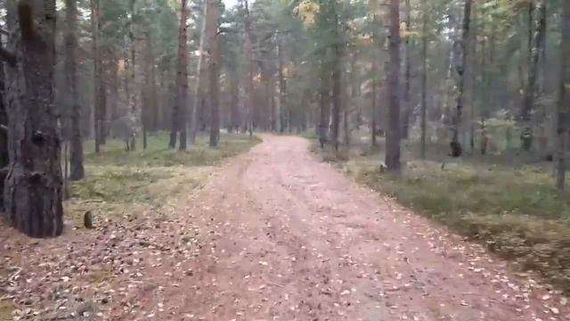 Ладожское озеро. Диалоги о рыбалке на Ладоге. смотреть онлайн