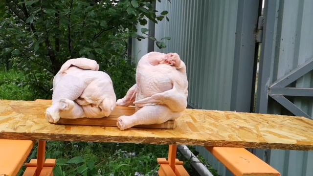 На что способна современная пневматическая винтовка. смотреть онлайн