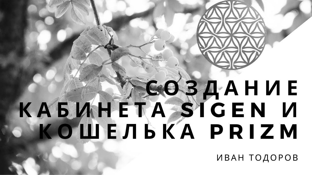 Создание кабинета Sigen и кошелька Prizm смотреть онлайн